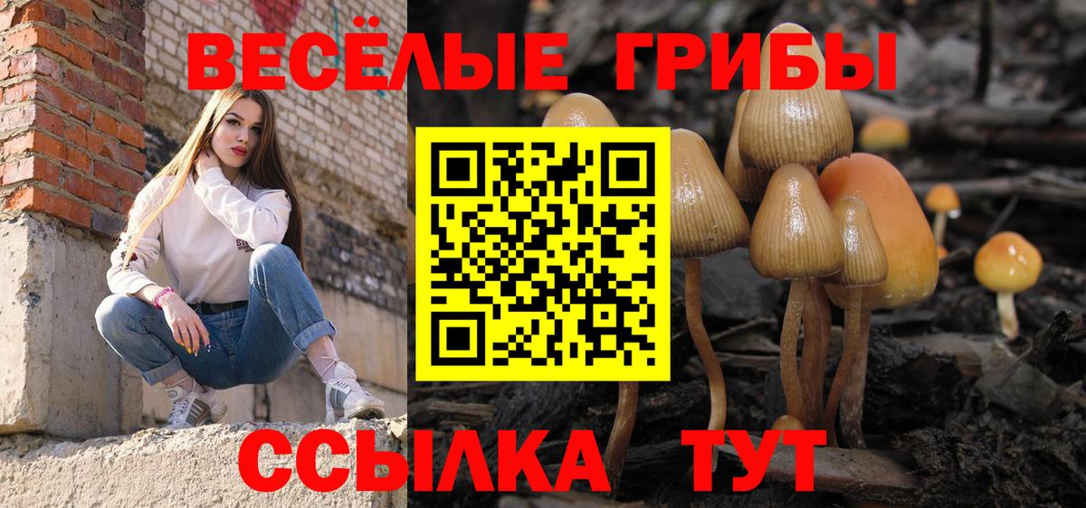 Псилоцибиновые грибы GOLDEN TEACHER Печора